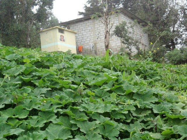 DSC06610