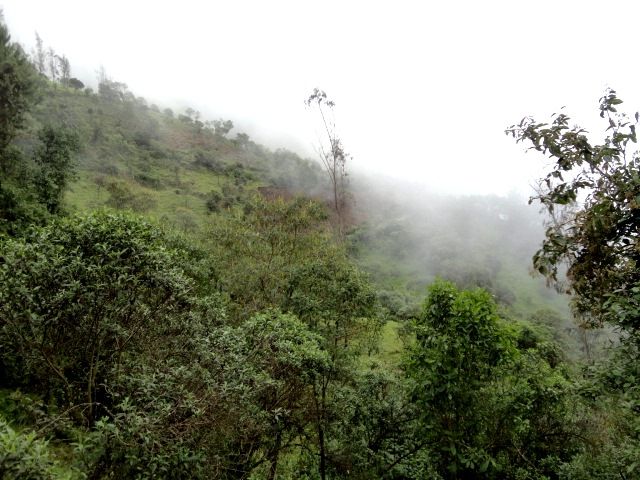 DSC06627