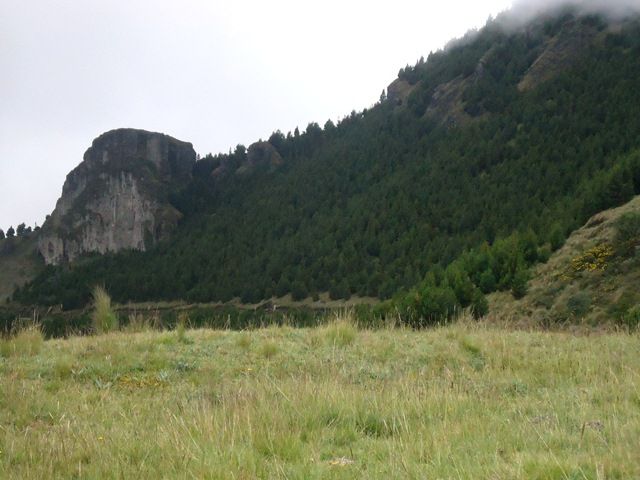 DSC06631