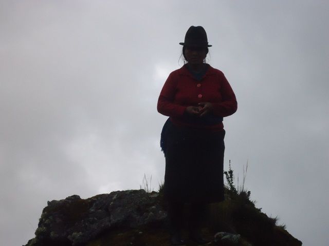 DSC06639