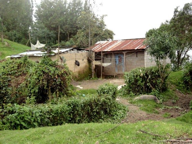 DSC06642