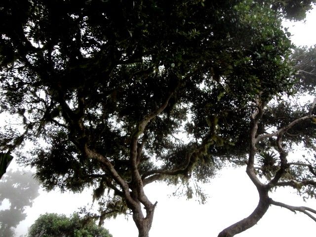 DSC06647