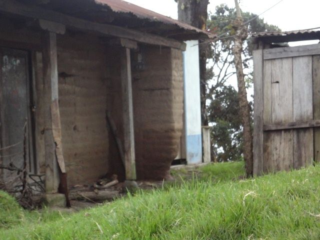 DSC06649