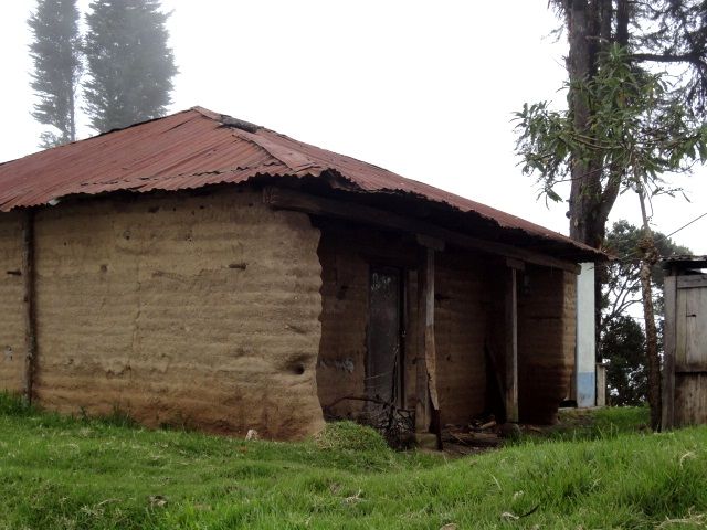 DSC06650