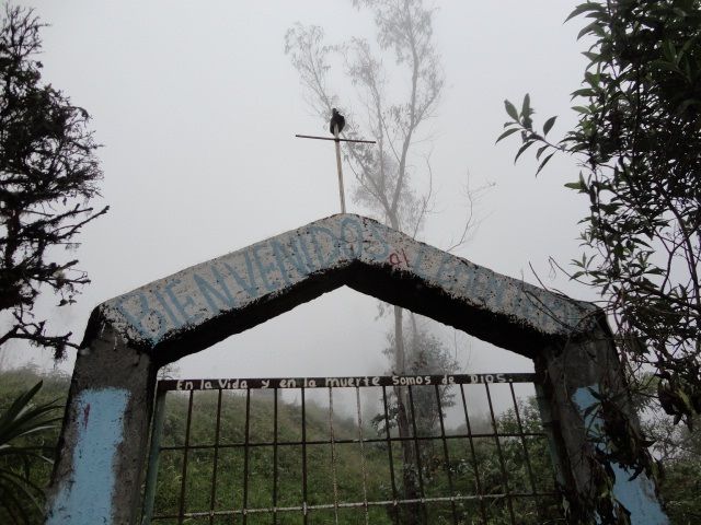 DSC06662