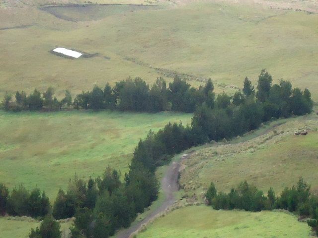 DSC06665