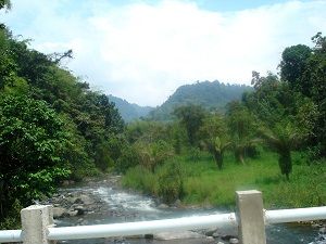 DSC07640
