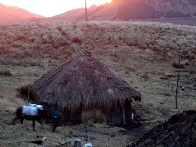 DSC09009