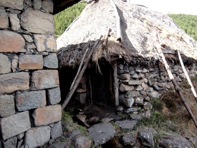 DSC09061