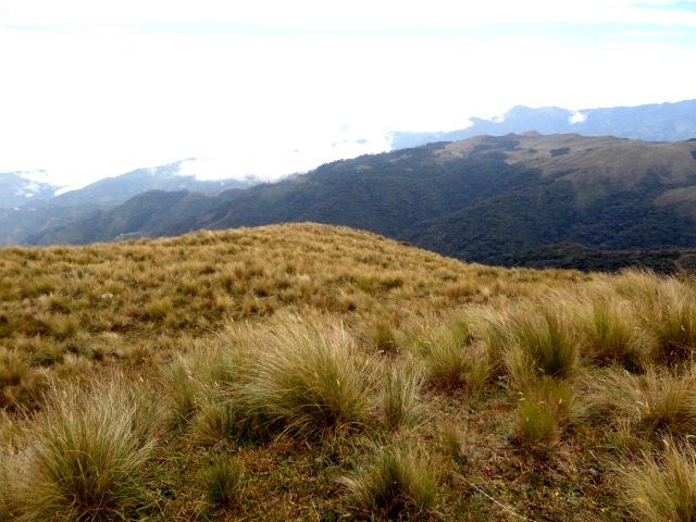 DSC09105