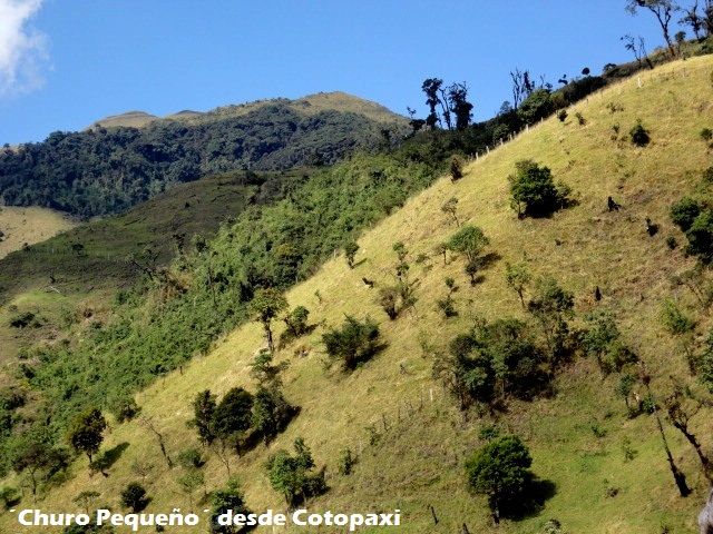 DSC09111