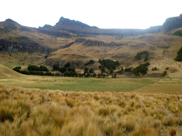 DSC09145