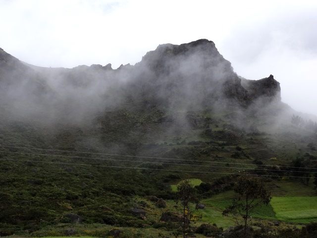 DSC09248