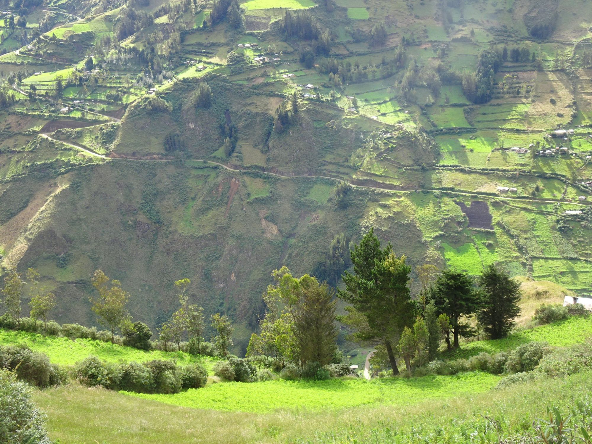 DSC09279
