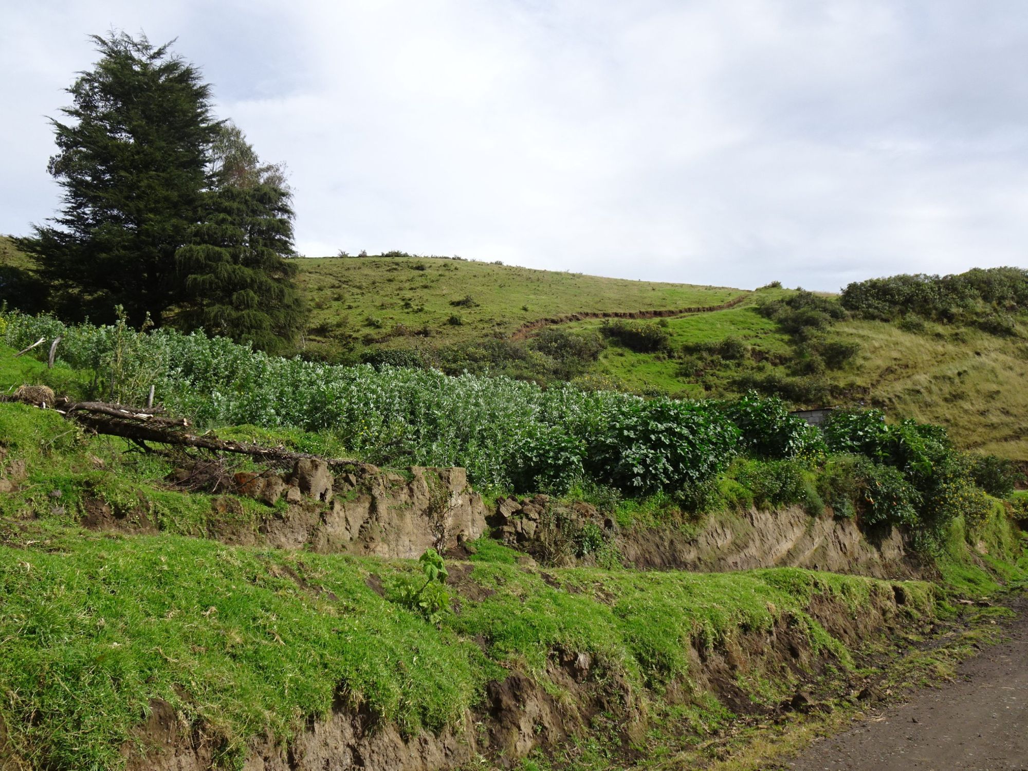 DSC09280