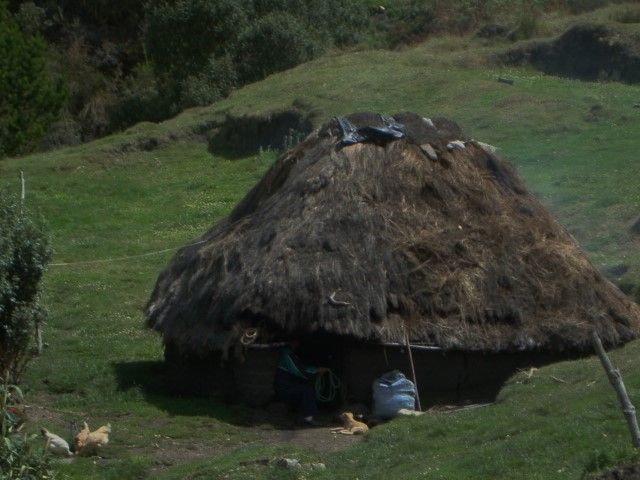 DSC09329