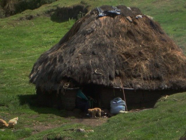 DSC09330
