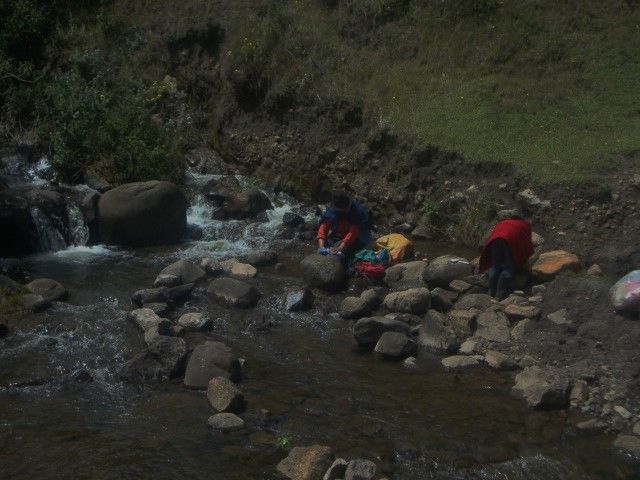 DSC09495