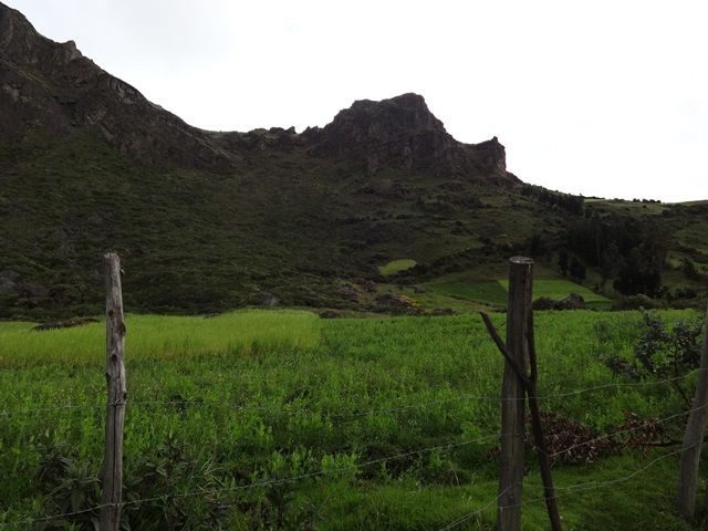 DSC09499