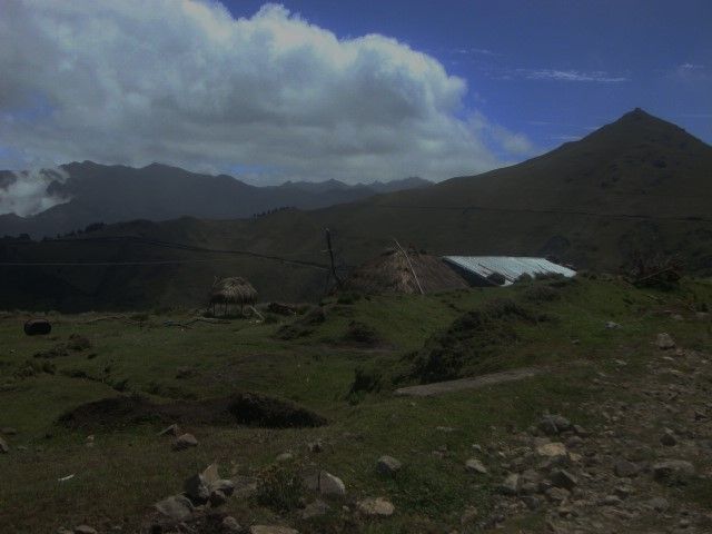 DSC09501