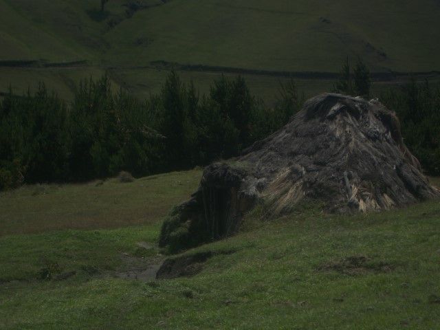 DSC09503