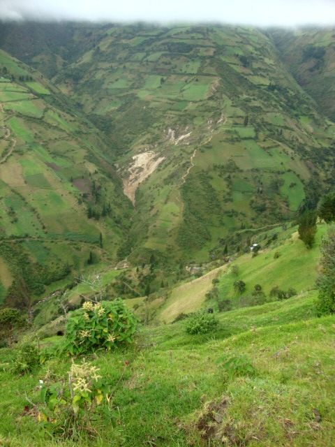 DSC09610