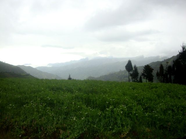 DSC09613