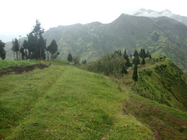 DSC09614