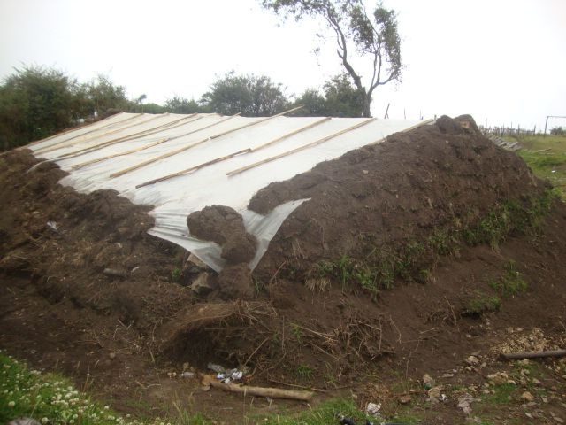 DSC09622