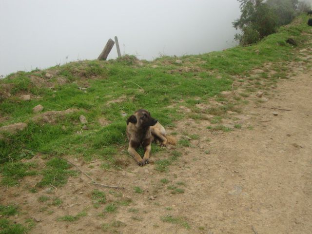 DSC09829