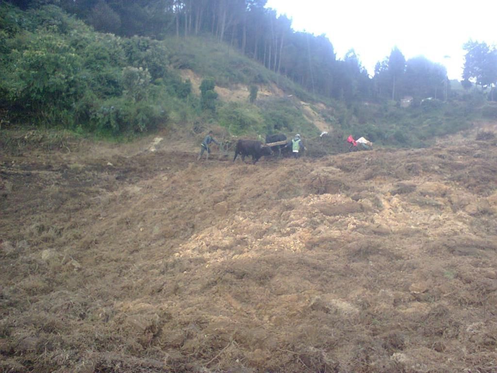 IMG-20220622-WA0008 (Copy)