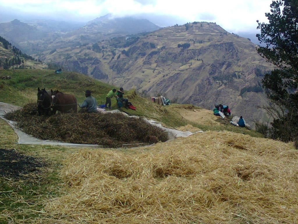 IMG-20220622-WA0009 (Copy)