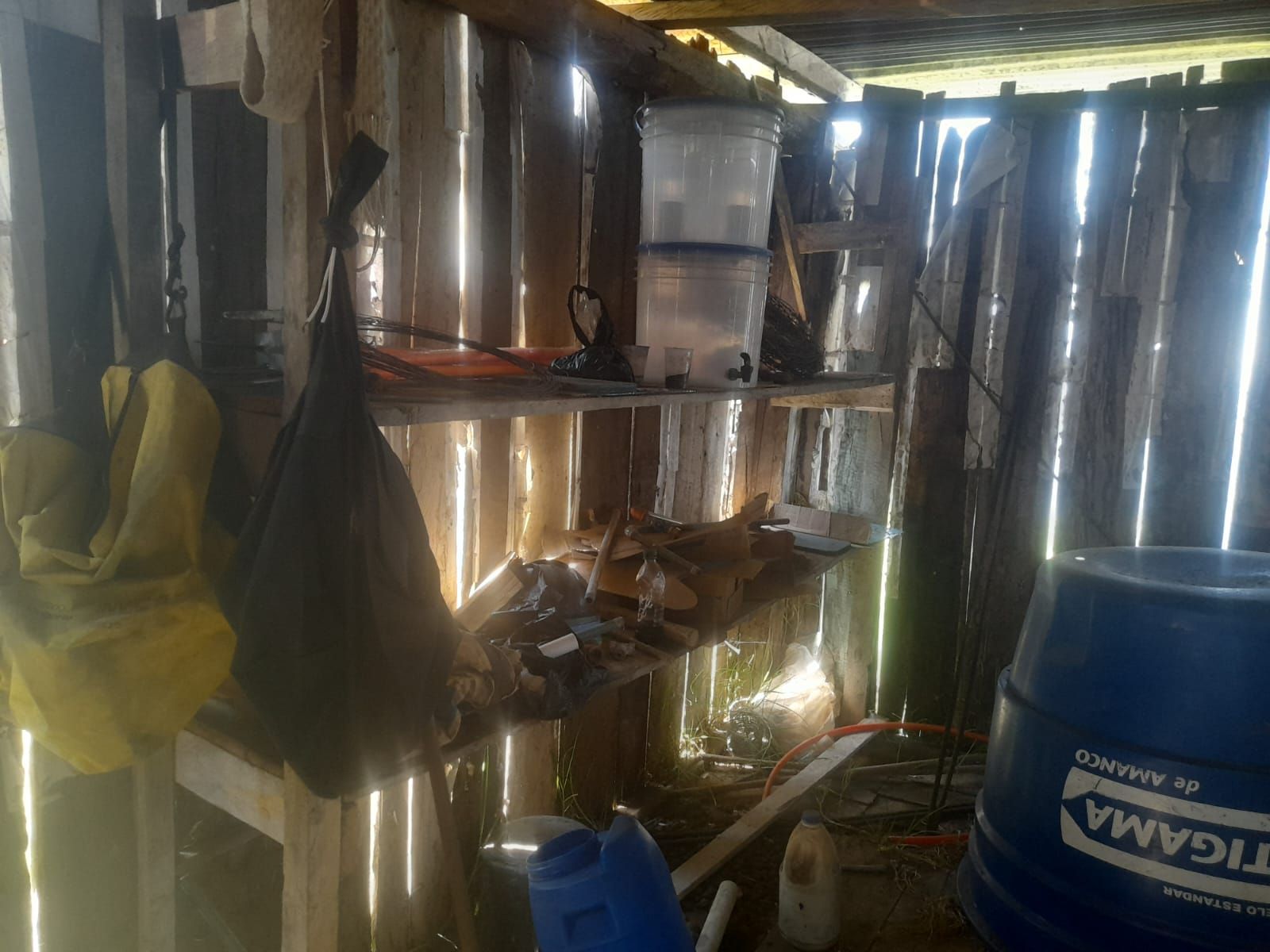 IMG-20221109-WA0019