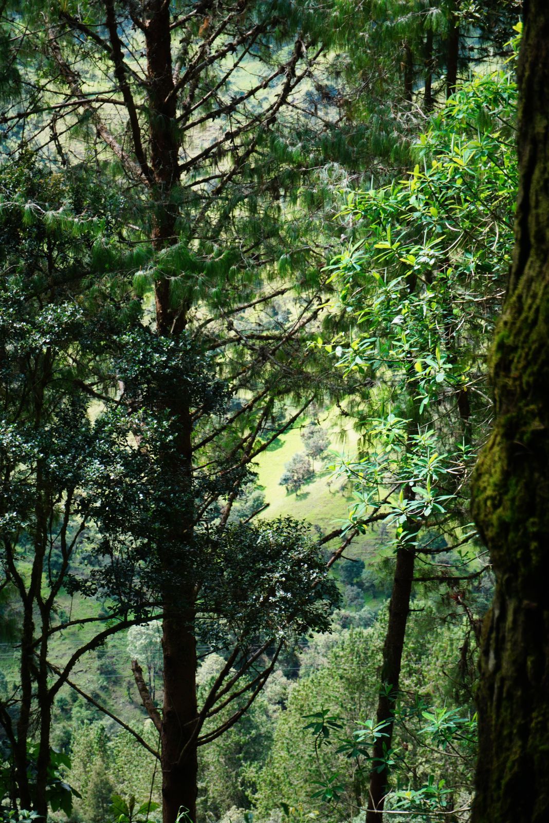 IMG-20240101-WA0072
