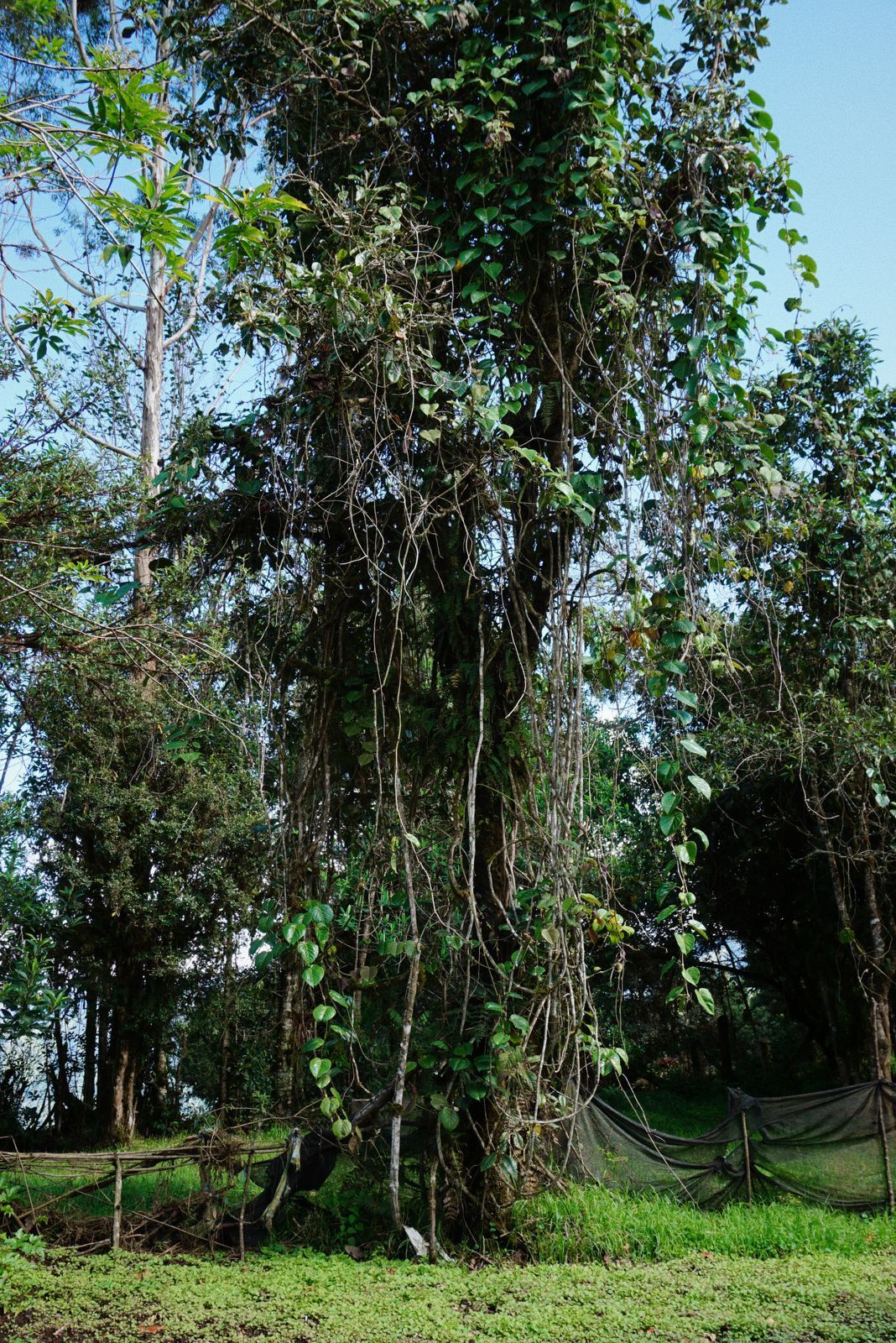 IMG-20240101-WA0079