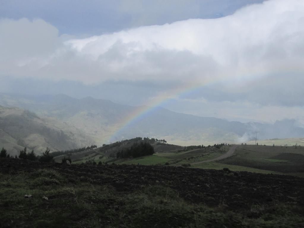 IMG_4088 (Copy)