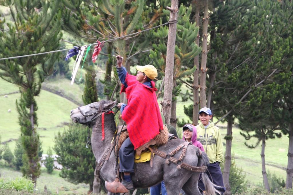 IMG_4579 (Copy)