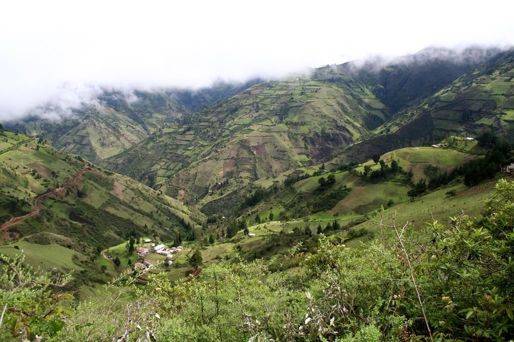 IMG_7124 (Copy)