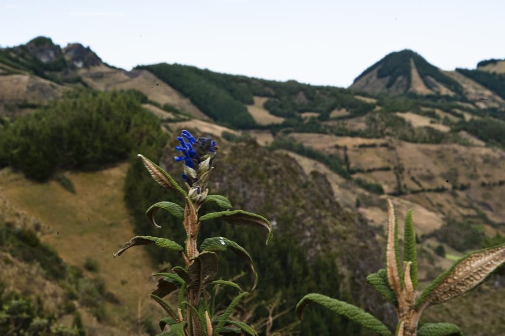Guaranda