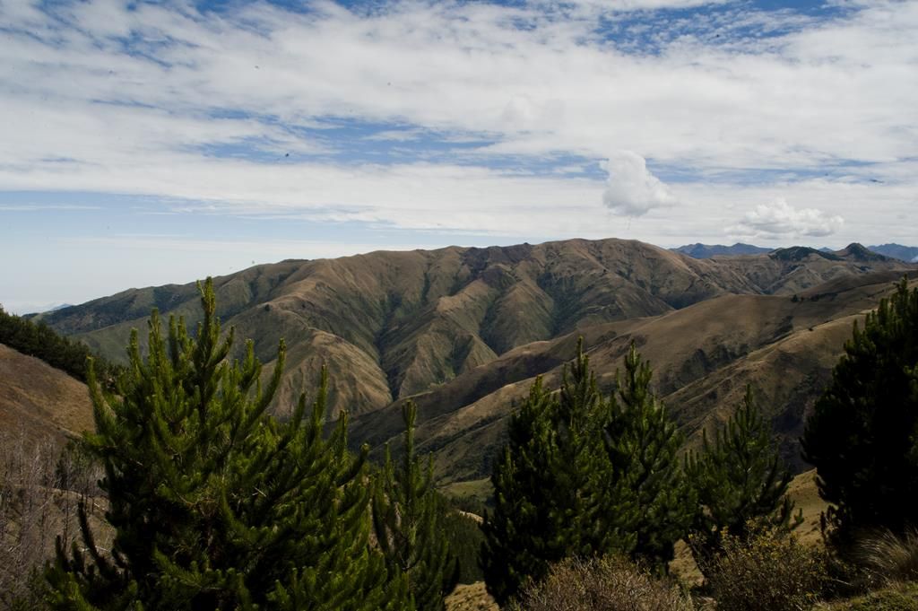 Guaranda