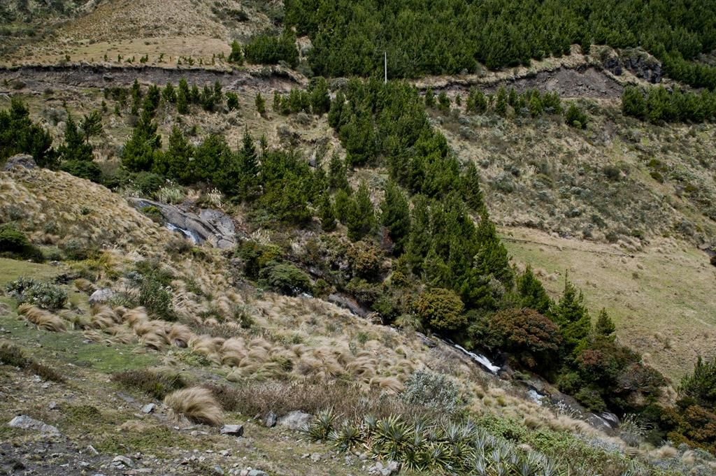 Guaranda