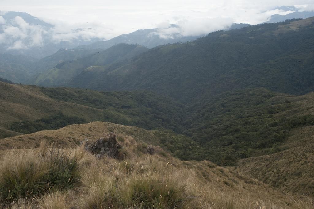Guaranda