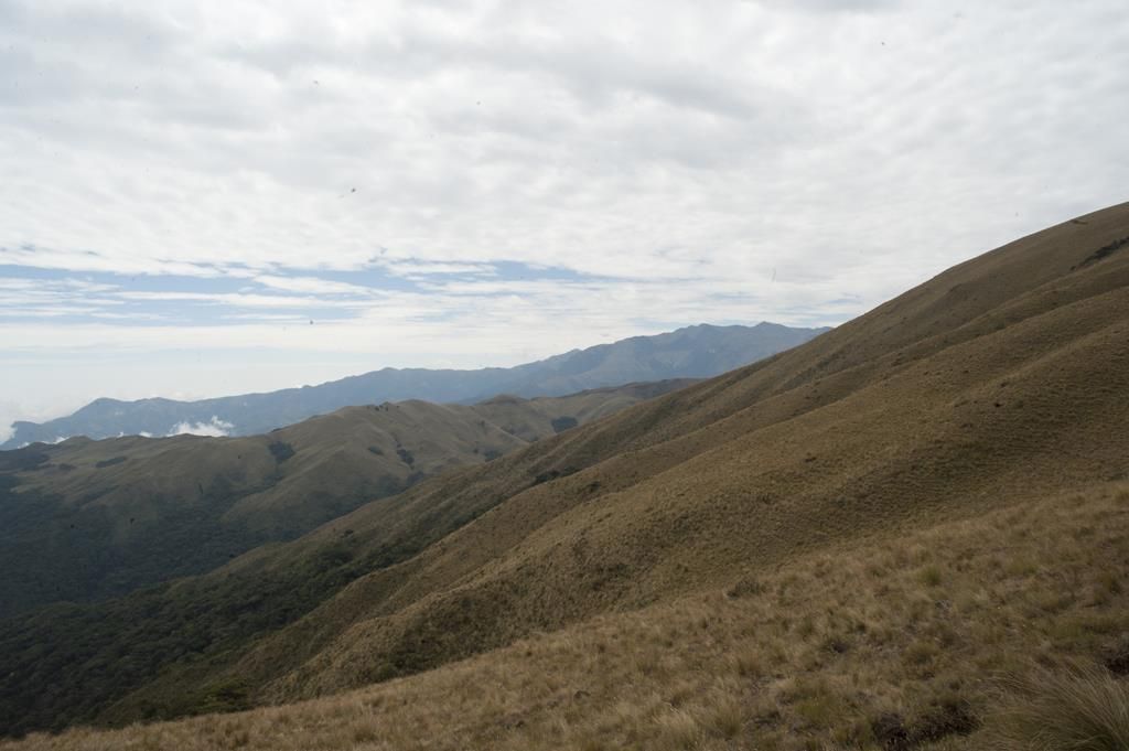 Guaranda