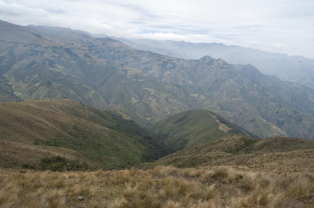 Guaranda