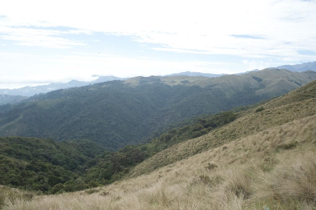 Guaranda