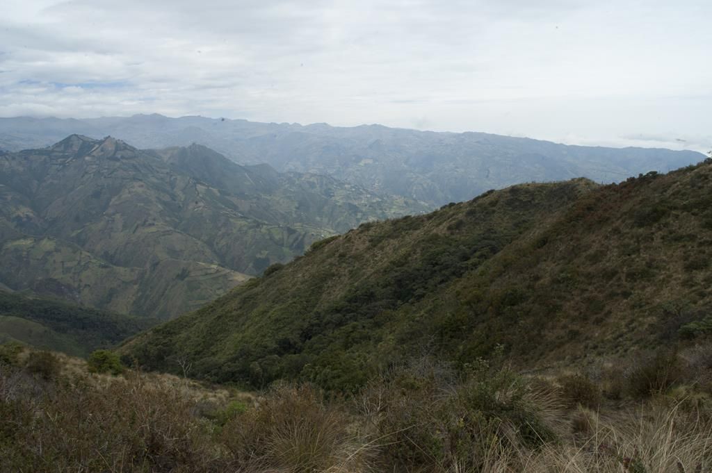 Guaranda