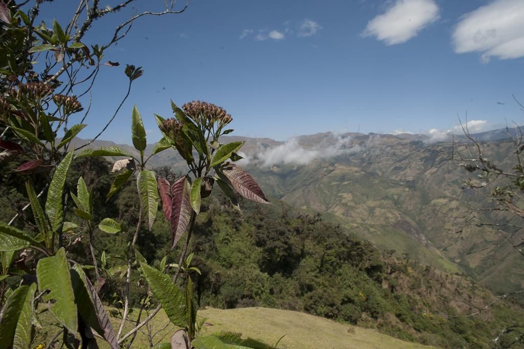 Guaranda