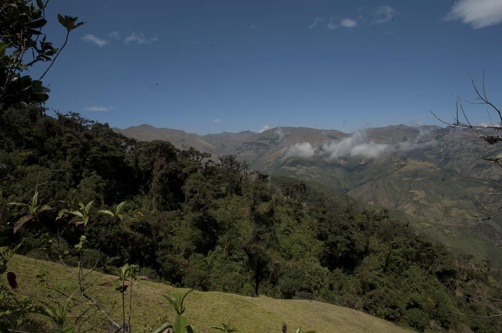 Guaranda