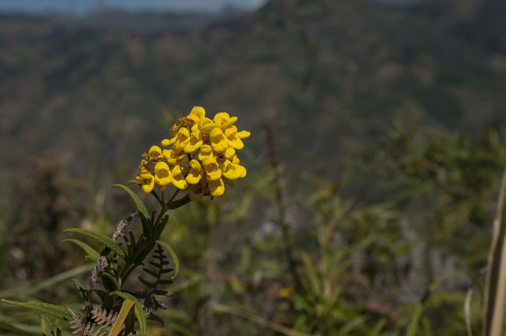 Guaranda