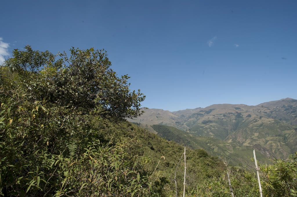 Guaranda
